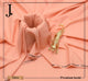 Spectrum Boski by J. - SALMON